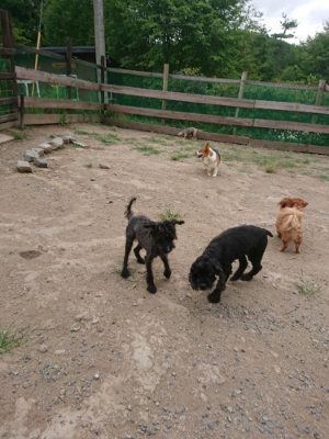f:id:roukenhome-ann:20190814175334j:plain