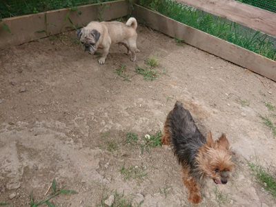 f:id:roukenhome-ann:20190814175418j:plain