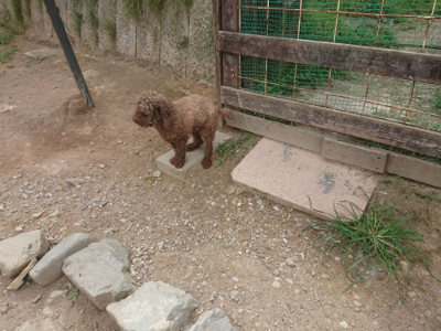 f:id:roukenhome-ann:20190814175423j:plain