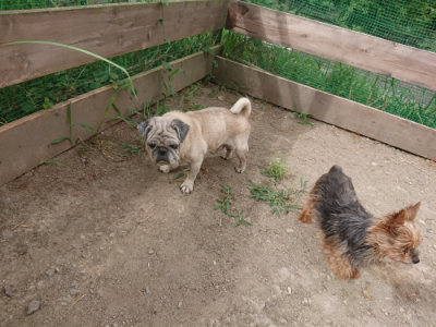 f:id:roukenhome-ann:20190814175439j:plain