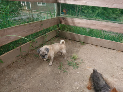 f:id:roukenhome-ann:20190814175448j:plain