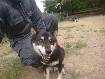 f:id:roukenhome-ann:20190814175621j:plain
