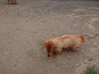 f:id:roukenhome-ann:20190814175648j:plain