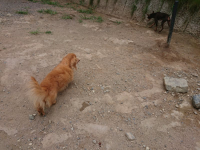 f:id:roukenhome-ann:20190814175659j:plain