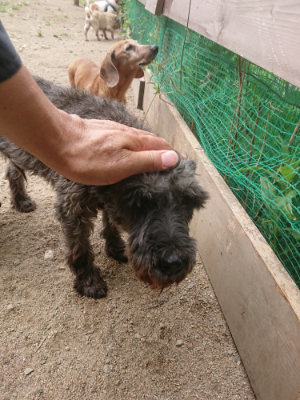 f:id:roukenhome-ann:20190814175704j:plain