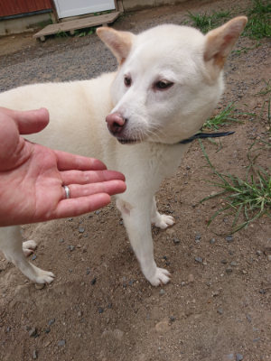 f:id:roukenhome-ann:20190814175710j:plain