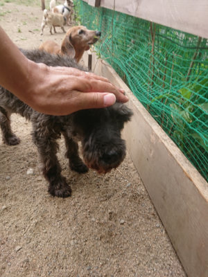 f:id:roukenhome-ann:20190814175716j:plain