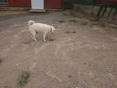 f:id:roukenhome-ann:20190814175747j:plain