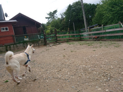 f:id:roukenhome-ann:20190814180021j:plain