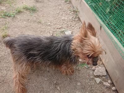f:id:roukenhome-ann:20190814180717j:plain