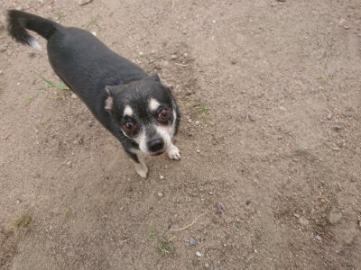 f:id:roukenhome-ann:20190814180729j:plain