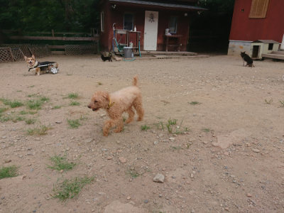 f:id:roukenhome-ann:20190814180746j:plain