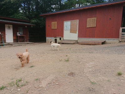f:id:roukenhome-ann:20190814180804j:plain