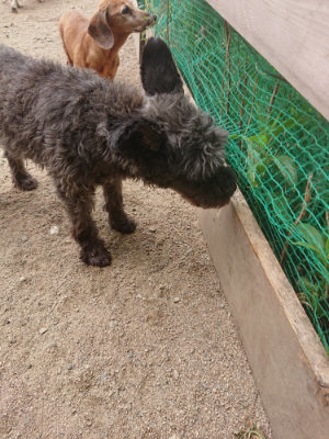f:id:roukenhome-ann:20190814180817j:plain