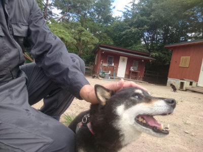 f:id:roukenhome-ann:20190814180845j:plain