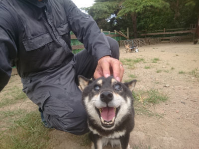 f:id:roukenhome-ann:20190814180907j:plain