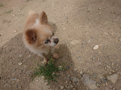 f:id:roukenhome-ann:20190814180920j:plain