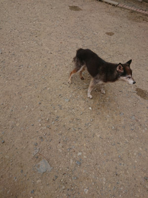 f:id:roukenhome-ann:20190814181749j:plain