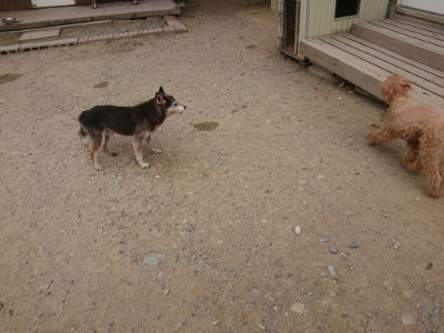 f:id:roukenhome-ann:20190814181806j:plain
