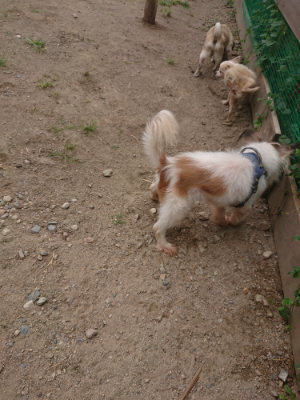 f:id:roukenhome-ann:20190814181840j:plain