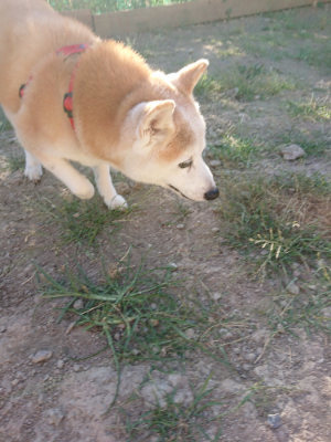 f:id:roukenhome-ann:20190814183314j:plain