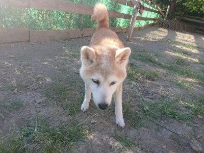 f:id:roukenhome-ann:20190814183321j:plain