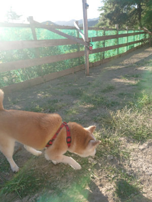 f:id:roukenhome-ann:20190815082113j:plain f:id:roukenhome-ann:20190815082113j:plain