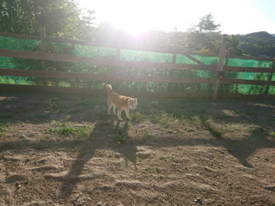 f:id:roukenhome-ann:20190815082120j:plain f:id:roukenhome-ann:20190815082120j:plain