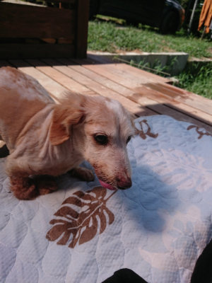 f:id:roukenhome-ann:20190815144557j:plain
