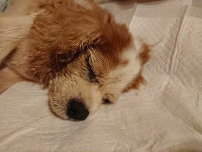 f:id:roukenhome-ann:20190815144759j:plain