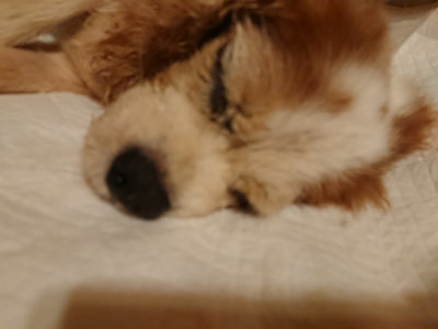 f:id:roukenhome-ann:20190815144829j:plain
