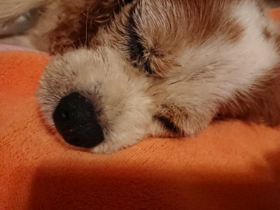 f:id:roukenhome-ann:20190815145556j:plain f:id:roukenhome-ann:20190815145556j:plain