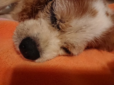 f:id:roukenhome-ann:20190815145636j:plain f:id:roukenhome-ann:20190815145636j:plain