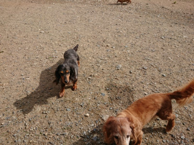 f:id:roukenhome-ann:20190816144523j:plain