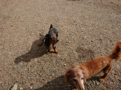 f:id:roukenhome-ann:20190816144532j:plain