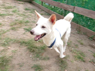 f:id:roukenhome-ann:20190816144555j:plain