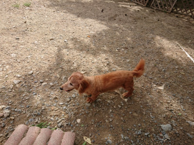 f:id:roukenhome-ann:20190816144606j:plain