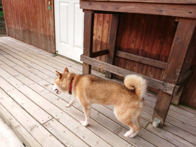 f:id:roukenhome-ann:20190816144612j:plain