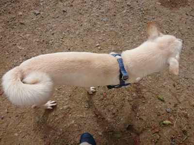 f:id:roukenhome-ann:20190816144834j:plain