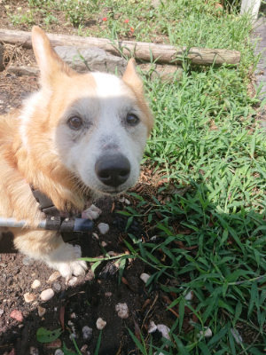 f:id:roukenhome-ann:20190816144915j:plain