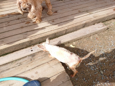 f:id:roukenhome-ann:20190816145526j:plain