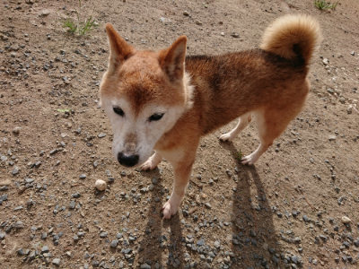 f:id:roukenhome-ann:20190816145619j:plain