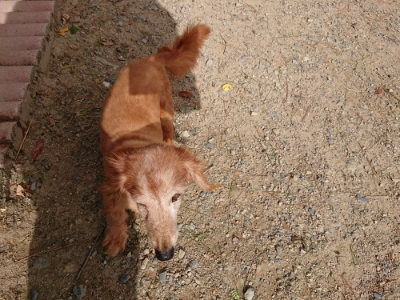 f:id:roukenhome-ann:20190816145655j:plain