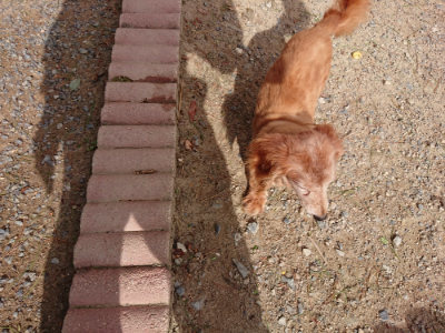 f:id:roukenhome-ann:20190816145718j:plain