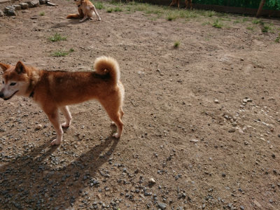f:id:roukenhome-ann:20190816145725j:plain