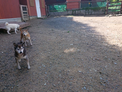 f:id:roukenhome-ann:20190816145731j:plain