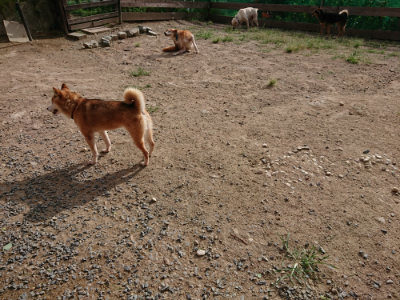 f:id:roukenhome-ann:20190816145746j:plain