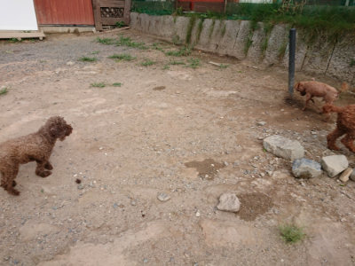 f:id:roukenhome-ann:20190816145819j:plain