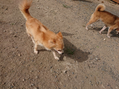 f:id:roukenhome-ann:20190816145831j:plain