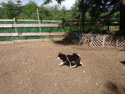 f:id:roukenhome-ann:20190816145839j:plain